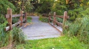 Small Wooden Bridge